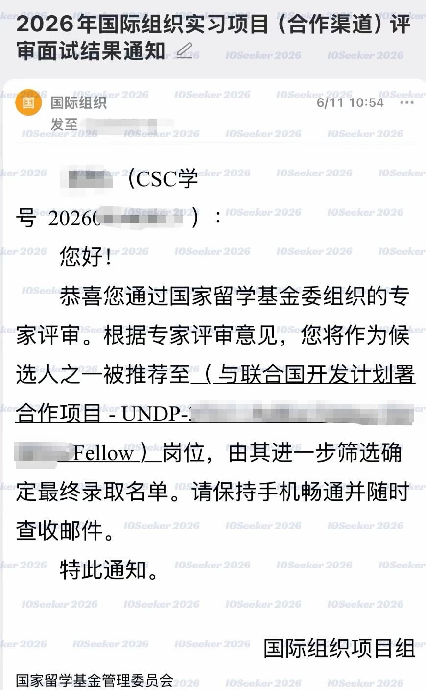 CSC 合作渠道评审推荐结果 · UNDP 联合国开发计划署岗位(已脱敏)